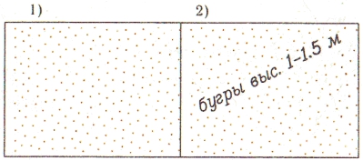 Условные знаки для топографических планов - Грунты и микроформы земной поверхности | geosar.ru